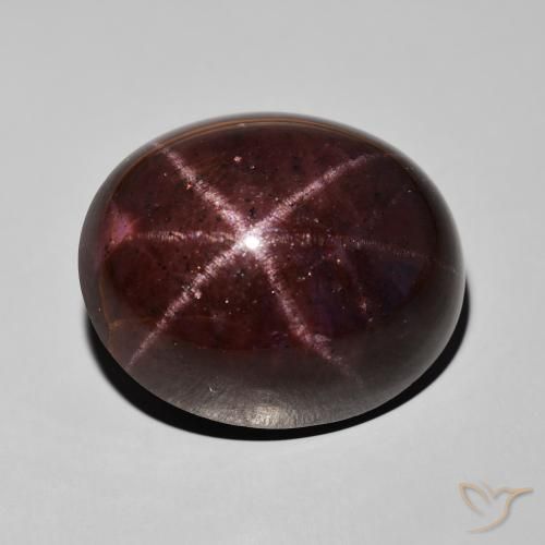 60.67ct Natürlicher Mahagonirot Sterngranat, Oval, Lichtundurchlässig
