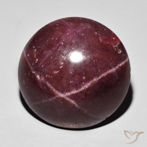 55.54ct Natürlicher Mahagonirot Sterngranat, Runden, Lichtundurchlässig
