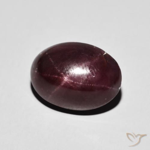 9,17 ctw natürlicher Mahagonirot Sterngranat, Oval, Lichtundurchlässig
