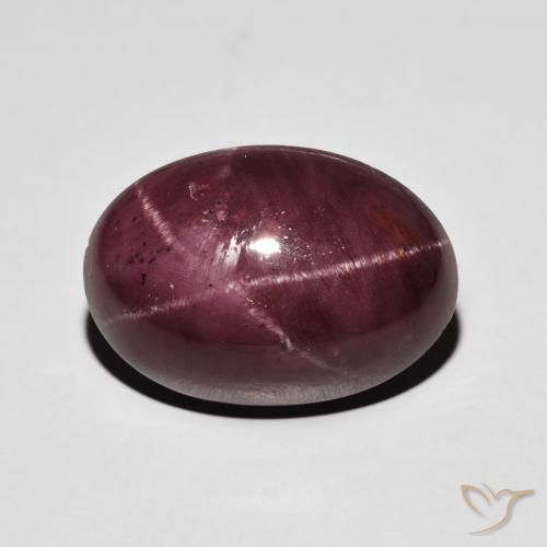 17.39ct Natürlicher dunkelrot Sterngranat, Oval, Lichtundurchlässig