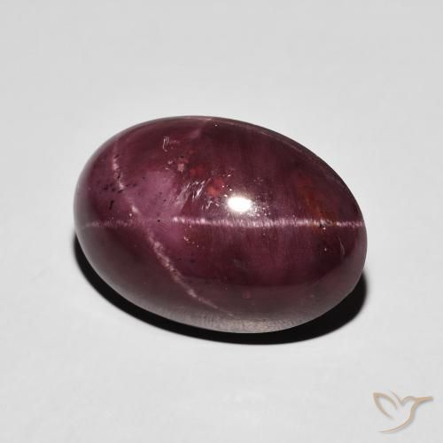 9,17 ctw natürlicher dunkelrot Sterngranat, Oval, Lichtundurchlässig