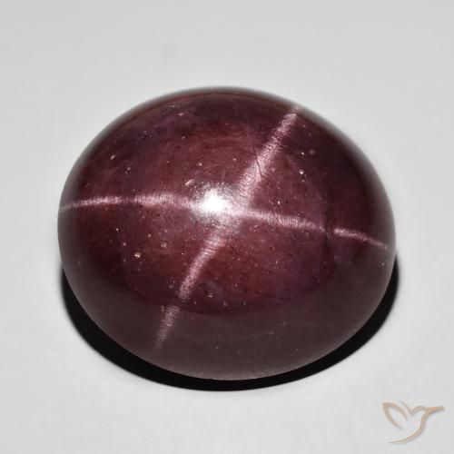 72.25ct Natürlicher Mahagonirot Sterngranat, Oval, Lichtundurchlässig