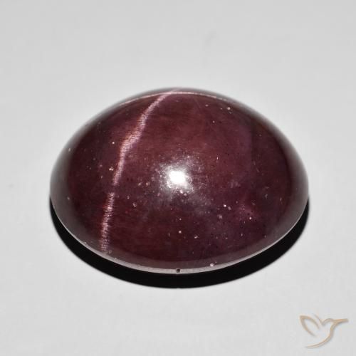 9,17 ctw natürlicher Mahagonirot Sterngranat, Oval, Lichtundurchlässig