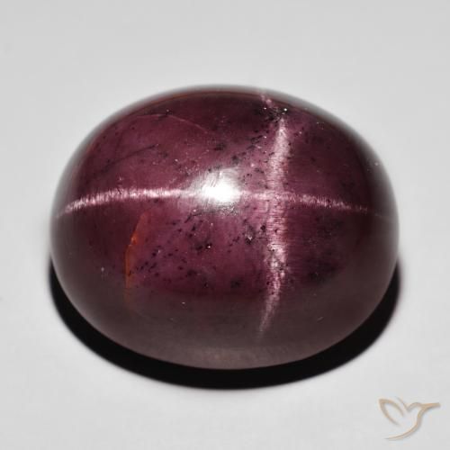 88.20ct Natürlicher dunkelrot Sterngranat, Oval, Lichtundurchlässig