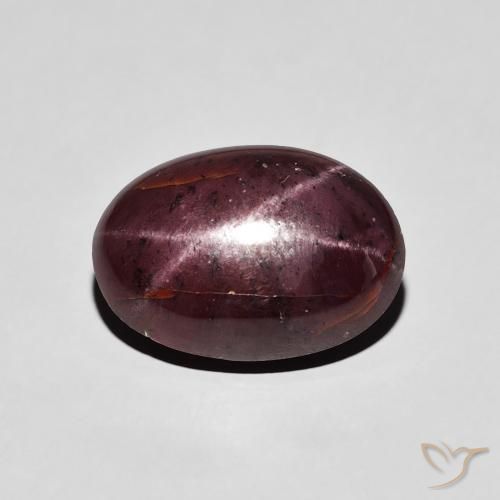 7.23ct Natürlicher dunkelrot Sterngranat, Oval, Lichtundurchlässig