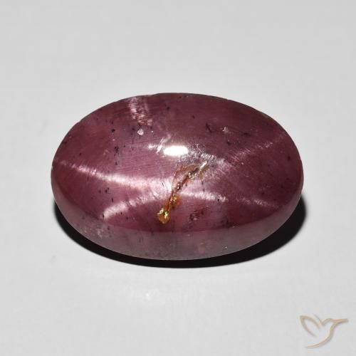 10.84ct Natürlicher dunkelrot Sterngranat, Oval, Lichtundurchlässig