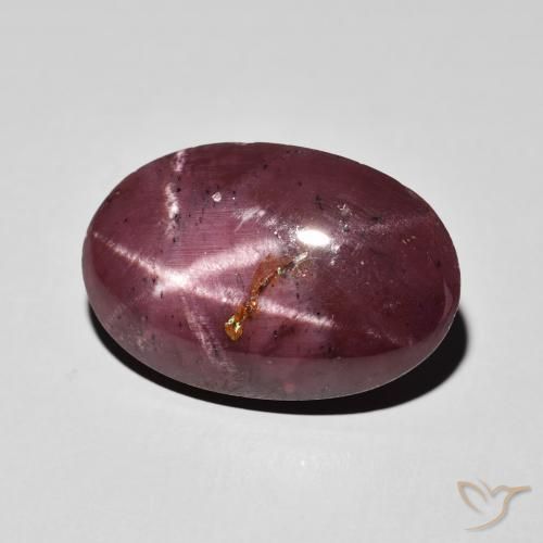 9,17 ctw natürlicher dunkelrot Sterngranat, Oval, Lichtundurchlässig