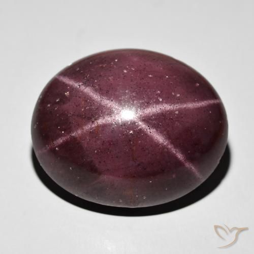 64.50ct Natürlicher Mahagonirot Sterngranat, Oval, Lichtundurchlässig