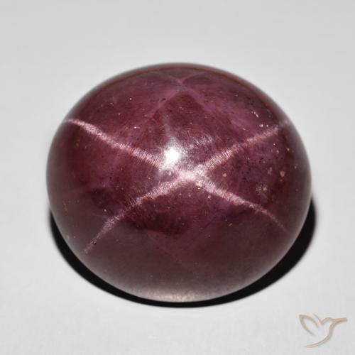 77.87ct Natürlicher Mahagonirot Sterngranat, Oval, Lichtundurchlässig
