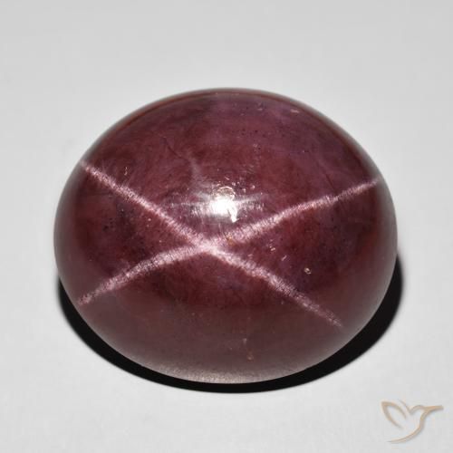 76.64ct Natürlicher Mahagonirot Sterngranat, Oval, Lichtundurchlässig