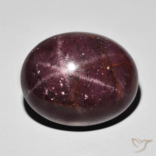 62.53ct Natürlicher dunkelrot Sterngranat, Oval, Lichtundurchlässig