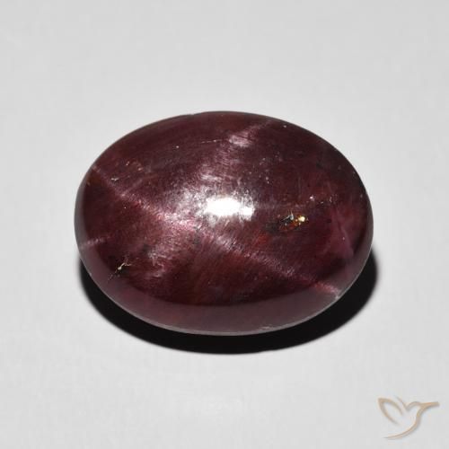 14.27ct Natürlicher dunkelrot Sterngranat, Oval, Lichtundurchlässig