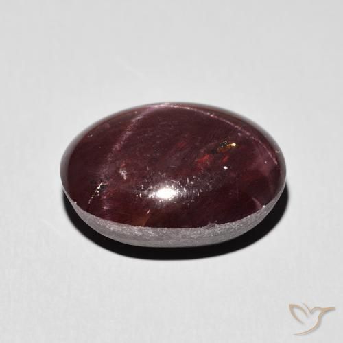 9,17 ctw natürlicher dunkelrot Sterngranat, Oval, Lichtundurchlässig