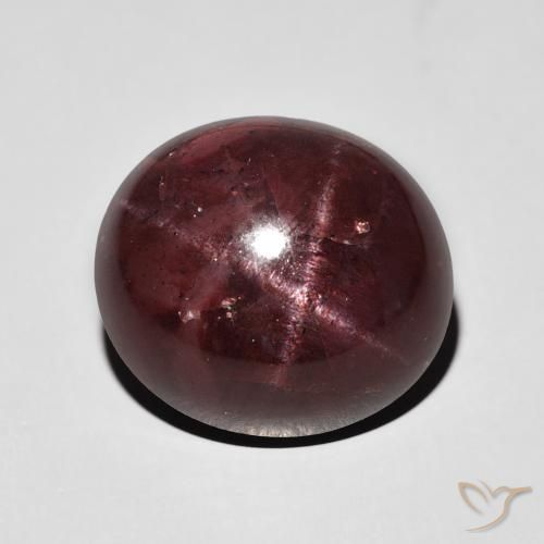 17.08ct Natürlicher Mahagonirot Sterngranat, Oval, Lichtundurchlässig