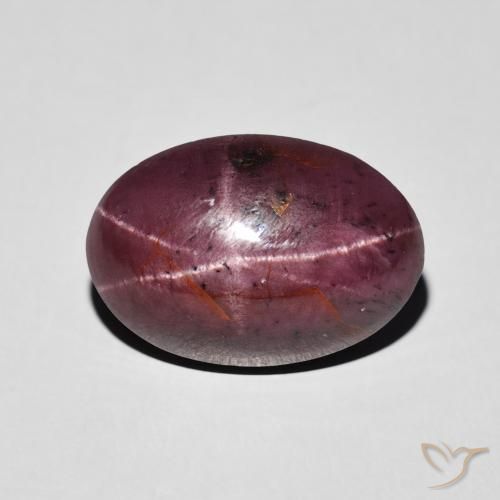 8.72ct Natürlicher Medium Dark-Red Sterngranat, Oval, Lichtundurchlässig