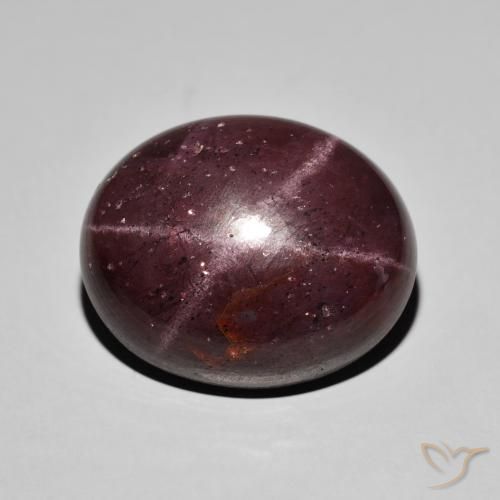 36.82ct Natürlicher Mahagonirot Sterngranat, Oval, Lichtundurchlässig