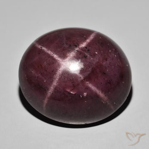 68.19ct Natürlicher Mahagonirot Sterngranat, Oval, Lichtundurchlässig