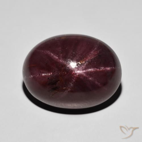 30.03ct Natürlicher dunkelrot Sterngranat, Oval, Lichtundurchlässig