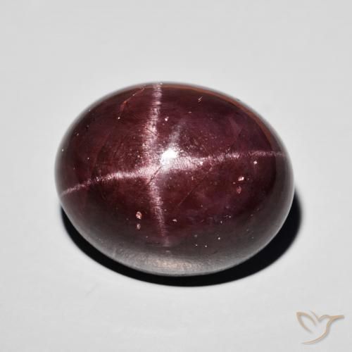 9,17 ctw natürlicher dunkelrot Sterngranat, Oval, Lichtundurchlässig