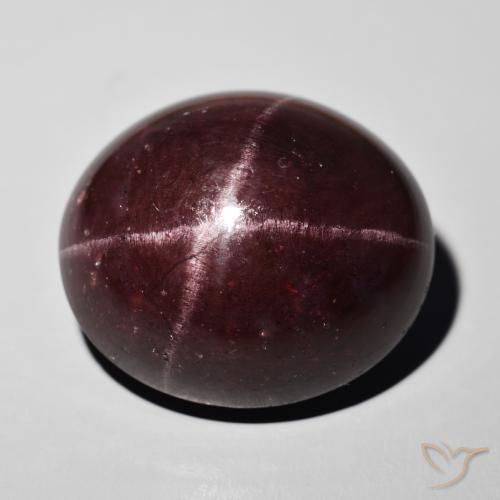 55.50ct Natürlicher dunkelrot Sterngranat, Oval, Lichtundurchlässig