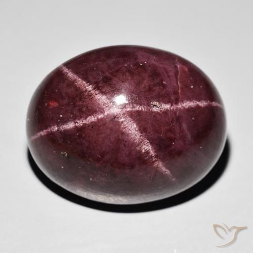 54.33ct Natürlicher Mahagonirot Sterngranat, Oval, Lichtundurchlässig