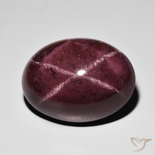 47.43ct Natürlicher Mahagonirot Sterngranat, Oval, Lichtundurchlässig