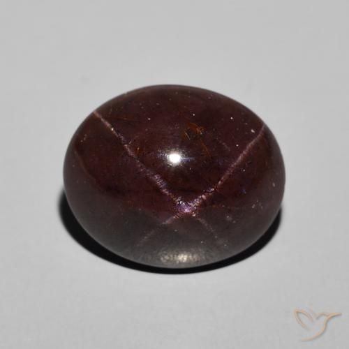 13.31ct Natürlicher Mahagonirot Sterngranat, Oval, Lichtundurchlässig