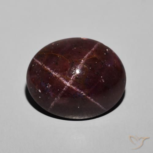 20.07ct Natürlicher dunkelrot Sterngranat, Oval, Lichtundurchlässig