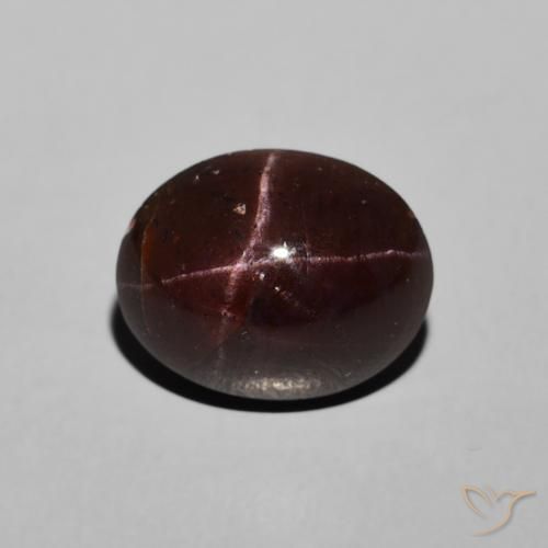6.48ct Natürlicher dunkelrot Sterngranat, Oval, Lichtundurchlässig