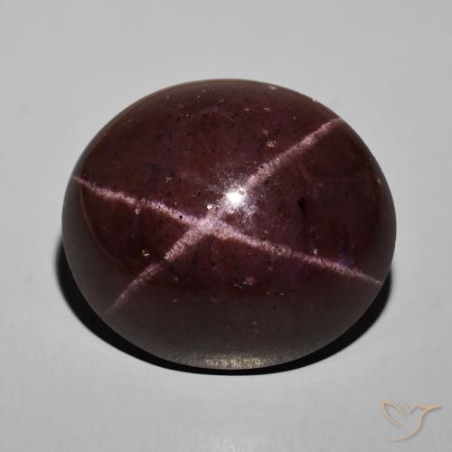 57.92ct Natürlicher Mahagonirot Sterngranat, Oval, Lichtundurchlässig