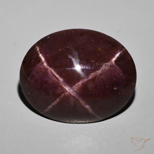 69.04ct Natürlicher Mahagonirot Sterngranat, Oval, Lichtundurchlässig