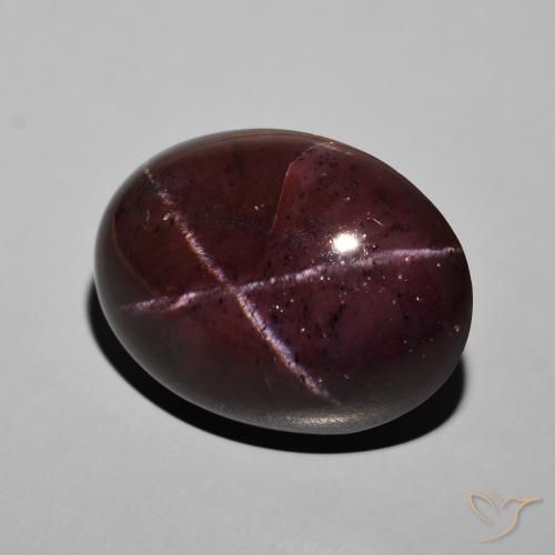 45.48ct Natürlicher dunkelrot Sterngranat, Oval, Lichtundurchlässig