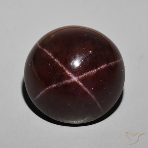 62.52ct Natürlicher dunkelrot Sterngranat, Runden, Lichtundurchlässig