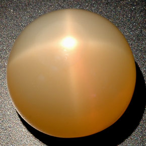 25,04 ctw natürlicher cream Stern-Mondstein, Transparent, Transparent / Lichtdurchlässig