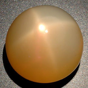 25,04 ctw natürlicher cream Stern-Mondstein, Transparent, Transparent / Lichtdurchlässig