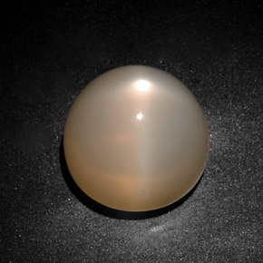 28,75 ctw natürlicher cream Stern-Mondstein, Transparent, Transparent / Lichtdurchlässig