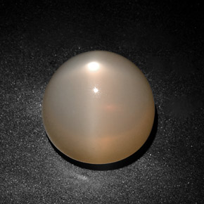 28,75 ctw natürlicher cream Stern-Mondstein, Transparent, Transparent / Lichtdurchlässig