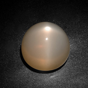 28,75 ctw natürlicher cream Stern-Mondstein, Transparent, Transparent / Lichtdurchlässig