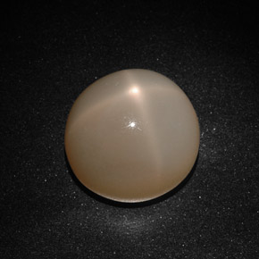22,41 ctw natürlicher cream Stern-Mondstein, Transparent, Transparent / Lichtdurchlässig