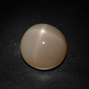 22,41 ctw natürlicher cream Stern-Mondstein, Transparent, Transparent / Lichtdurchlässig