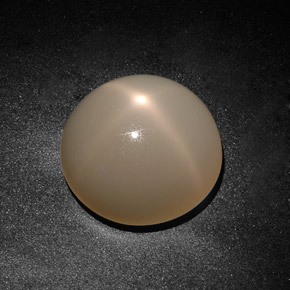 19,71 ctw natürlicher cream Stern-Mondstein, Transparent, Transparent / Lichtdurchlässig