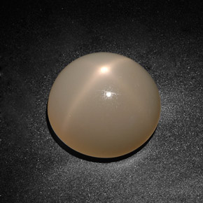 19,71 ctw natürlicher cream Stern-Mondstein, Transparent, Transparent / Lichtdurchlässig