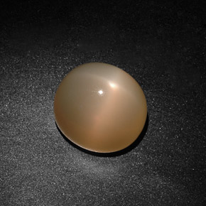 15,59 ctw natürlicher cream Stern-Mondstein, Transparent, Transparent / Lichtdurchlässig