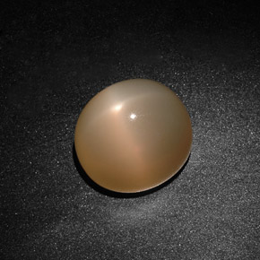 15,59 ctw natürlicher cream Stern-Mondstein, Transparent, Transparent / Lichtdurchlässig