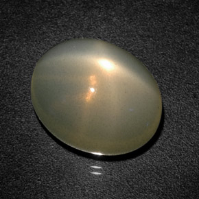 12,93 ctw natürlicher grüner Stern-Mondstein, Transparent, Transparent / Lichtdurchlässig