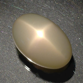 34,17 ctw natürlicher cream Stern-Mondstein, Transparent, Transparent / Lichtdurchlässig