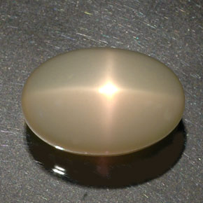 34,17 ctw natürlicher cream Stern-Mondstein, Transparent, Transparent / Lichtdurchlässig