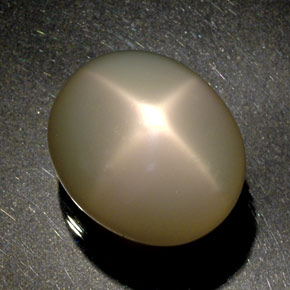51,60 ctw natürlicher cream Stern-Mondstein, Transparent, Transparent / Lichtdurchlässig