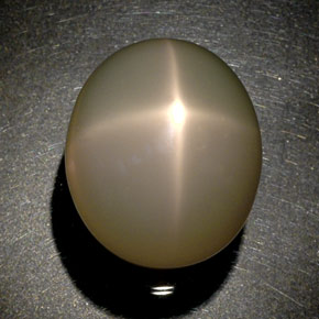 51,60 ctw natürlicher cream Stern-Mondstein, Transparent, Transparent / Lichtdurchlässig