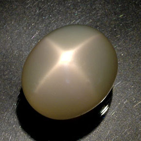 51,60 ctw natürlicher cream Stern-Mondstein, Transparent, Transparent / Lichtdurchlässig